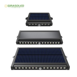 solar wall washer, solar colorful wall light, wall decor light, solar flood light, solar flashlight, solar hanging light,l solar multi-function light, solar wall decor light, solar yard light, solar illumination, solar light desgn, powered by solar, elight, LEDs bright, solar new energy ,wall light, solar RGB wall light, solar panel, adjustable angle, color changing light,